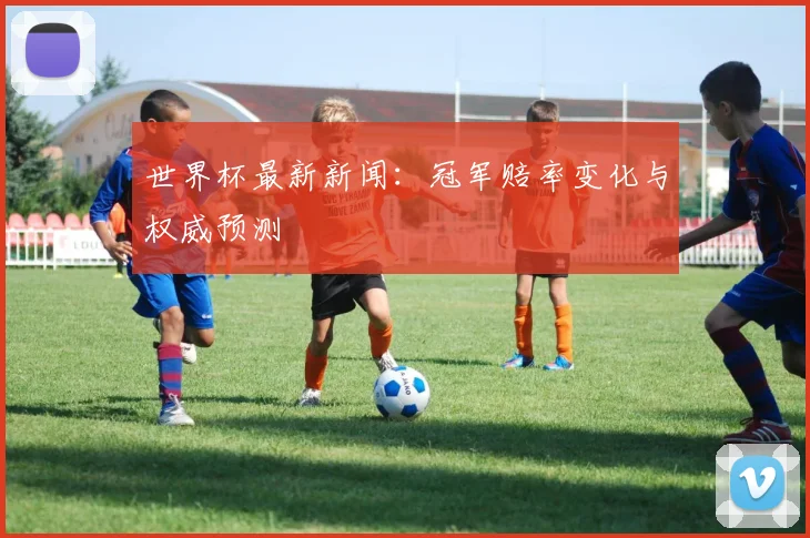 世界杯最新新闻：冠军赔率变化与权威预测