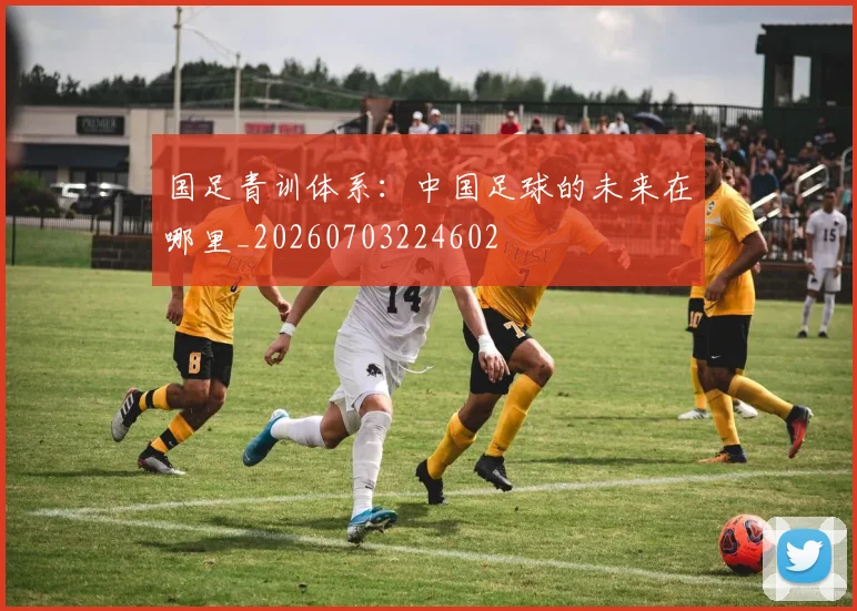 国足青训体系:中国足球的未来在哪里_20260703224602
