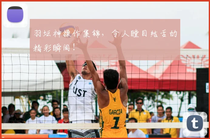 羽坛神操作集锦,令人瞠目结舌的精彩瞬间!