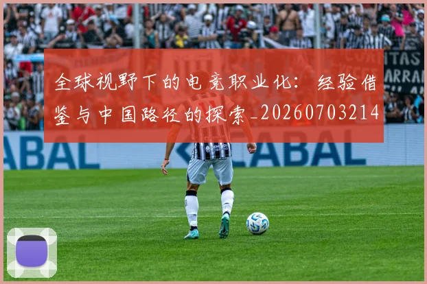 全球视野下的电竞职业化：经验借鉴与中国路径的探索_20260703214427